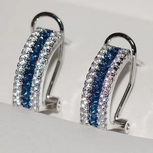 Sterling Silver blue/silver earrings